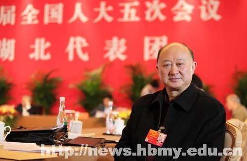 胡茂成同志在十一屆全國人大五次會議湖北代表團第二次全團會議上交流發言