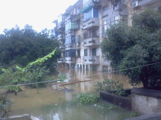 陶研所:暴雨無(wú)情人有情 抗險(xiǎn)救災(zāi)譜愛(ài)心