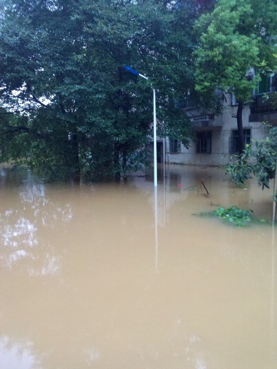 陶研所:暴雨無(wú)情人有情 抗險(xiǎn)救災(zāi)譜愛(ài)心