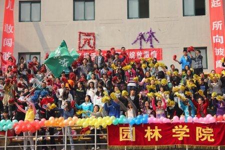 新生秋季運動會 園林學(xué)生展風(fēng)采
