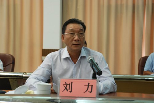劉力書記、鄧艷葵副院長率隊赴田東縣參加自治區扶貧開發工作座談會并深入對口扶貧點調研