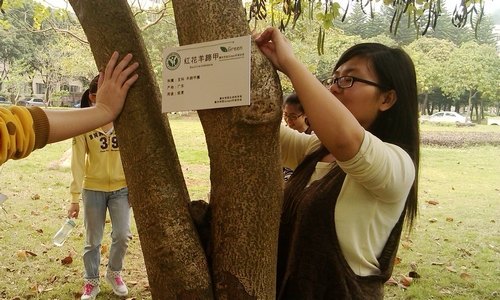 珍愛綠色 親近自然 校園植物有了“身份證”