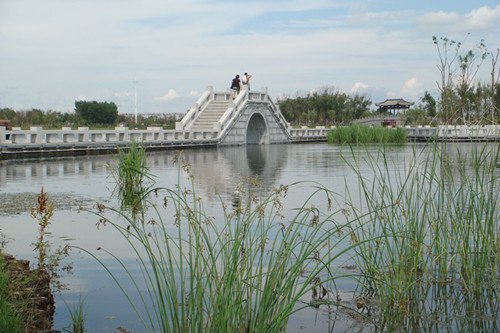 校黨委組織教工黨員到北湖濕地公園開展主題黨日活動(dòng)