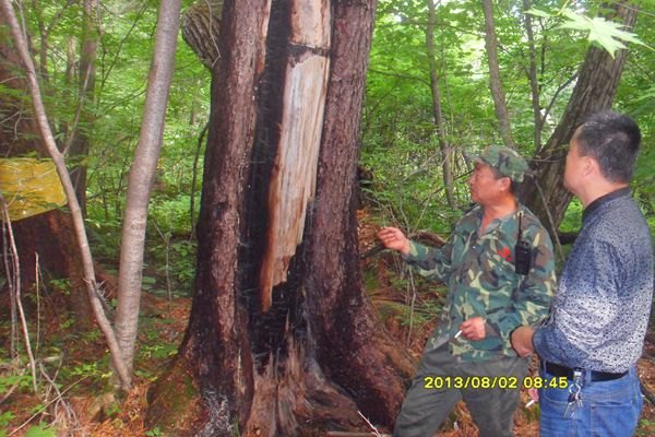 吉林農業科技學院學子“守護綠色夢 靈動長白山”吉林農業科技學院學子“守護綠色夢 靈動長白山”