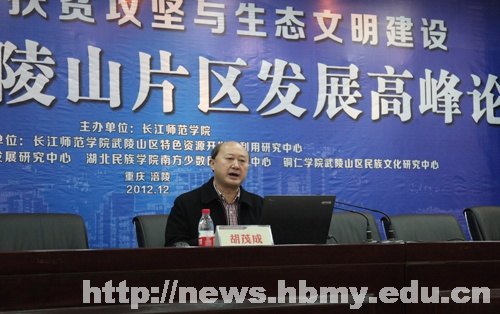 黨委書記胡茂成出席武陵山片區(qū)發(fā)展高峰論壇