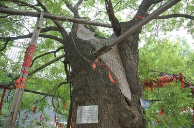 綠色長(zhǎng)征32:京杭運(yùn)河(古韻探尋)實(shí)踐團(tuán)之二