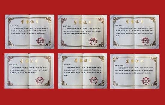 南京理工大學泰州科技學院代表隊參加第八屆全國信息技術應用大賽決賽載譽而歸