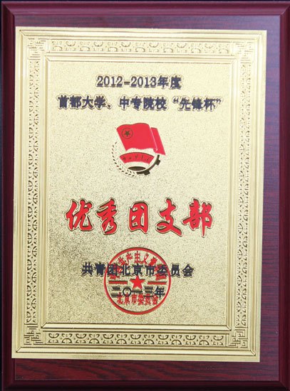 首都大學、中專院校“先鋒杯”競賽評選結果