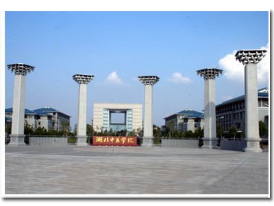 湖北中醫學院圖片