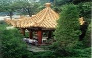 武漢民政職業學院圖片