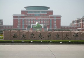 西北農林科技大學圖片