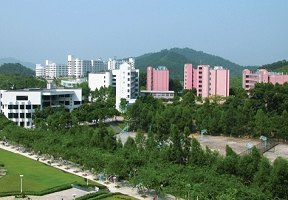 廣東培正學院圖片