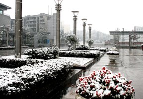 內(nèi)江師范學(xué)院圖片
