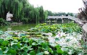 河北美術學院圖片