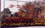 蘭州城市學(xué)院圖片